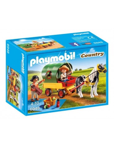 Playmobil Country Pic Nic...