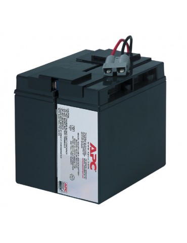 APC RBC7 batteria UPS Acido...